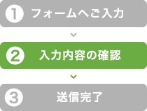 入力内容の確認